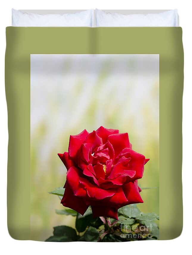 Bright Duvet Cover featuring the digital art Bright red rose by Perry Van Munster
