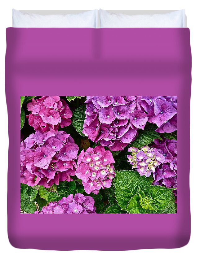 Flowers Duvet Cover featuring the photograph Bright Spot by Diana Hatcher