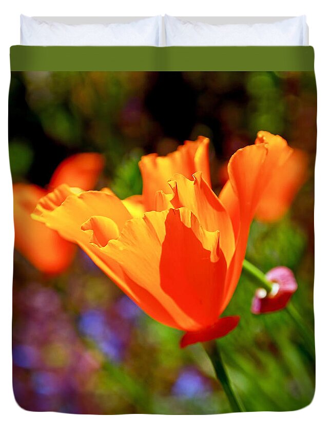 California Poppies Duvet Cover featuring the photograph Brilliant Spring Poppies by Rona Black