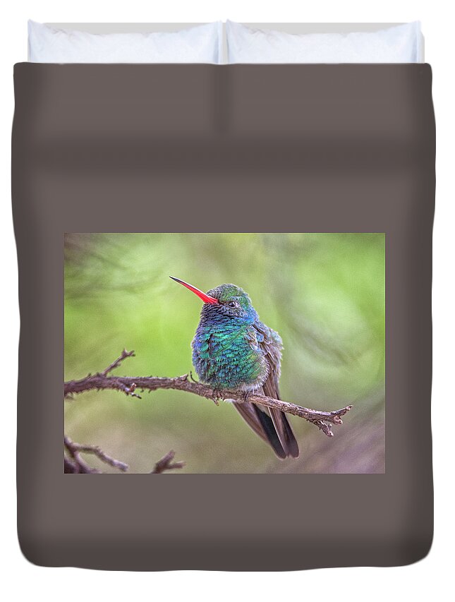 Broad Duvet Cover featuring the photograph Broad-billed Hummingbird 3652 by Tam Ryan