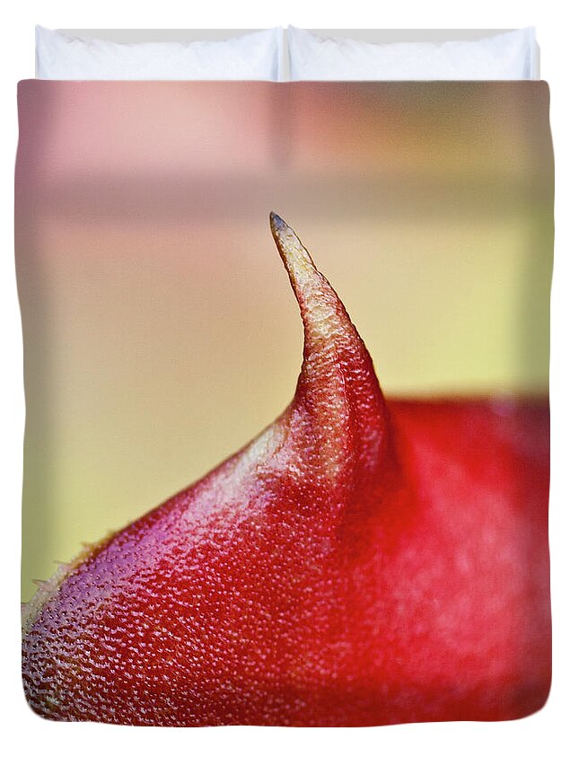 Leaf Duvet Cover featuring the photograph Bromeliad by Heiko Koehrer-Wagner