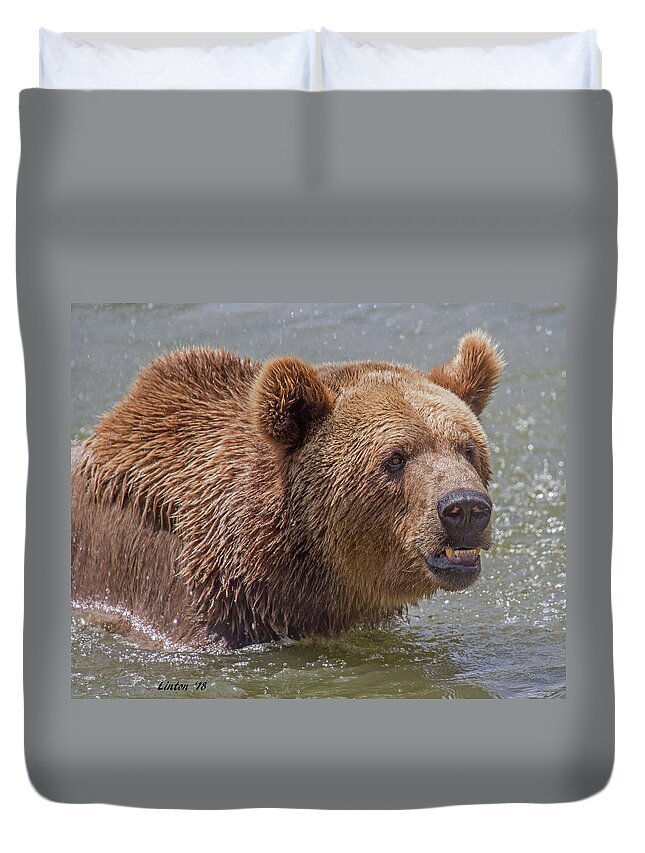 Bear Duvet Cover featuring the photograph Brown Bear 10 by Larry Linton