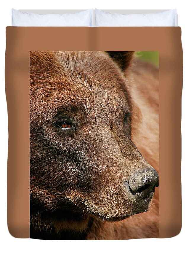 Wildlife Duvet Cover featuring the photograph Brown Bear by Benjamin Dahl