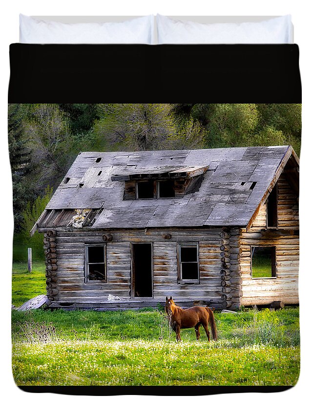 Landscape Duvet Cover featuring the pyrography Brown Horse and Old Log Cabin by James Steele