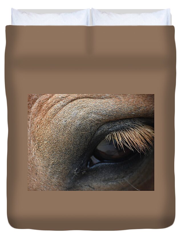 Horse Duvet Cover featuring the photograph Brown Horse Eye by Gary Smith