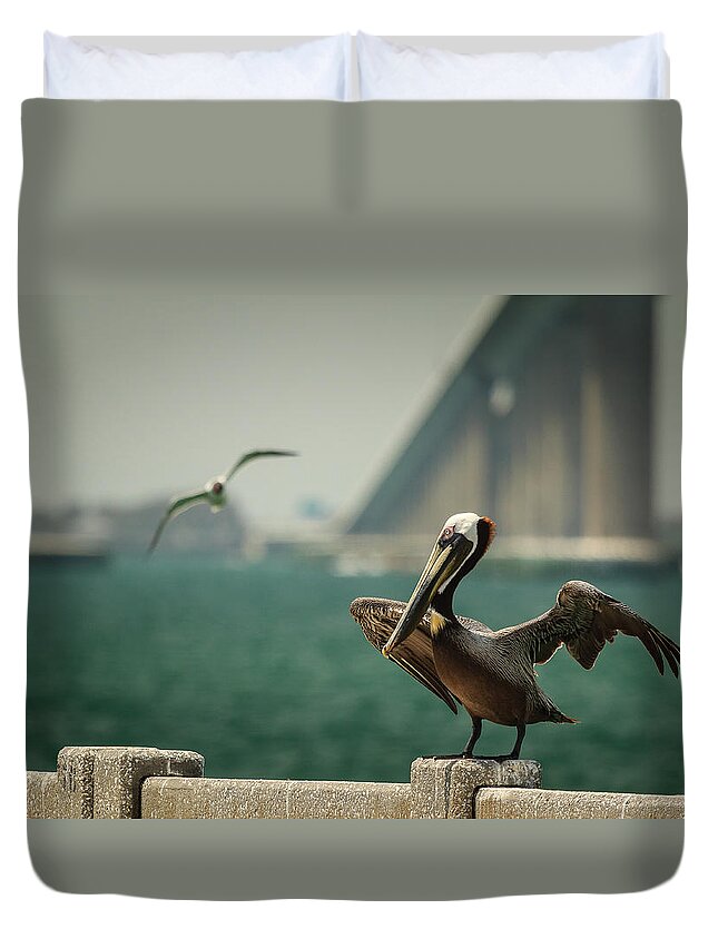 Florida Duvet Cover featuring the photograph Brown Pelican at Sunshine Skyway Bridge by Joni Eskridge