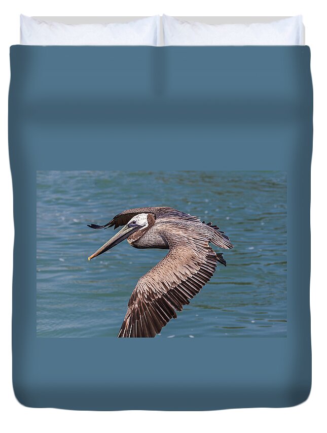 Florida Duvet Cover featuring the photograph Brown Pelican in Flight by Paul Schultz