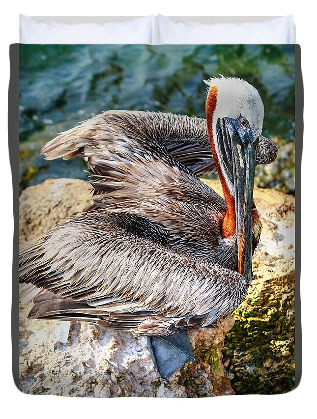Brown Pelican Duvet Cover featuring the photograph Brown Pelican Of Sebastian Inlet by Carol Montoya