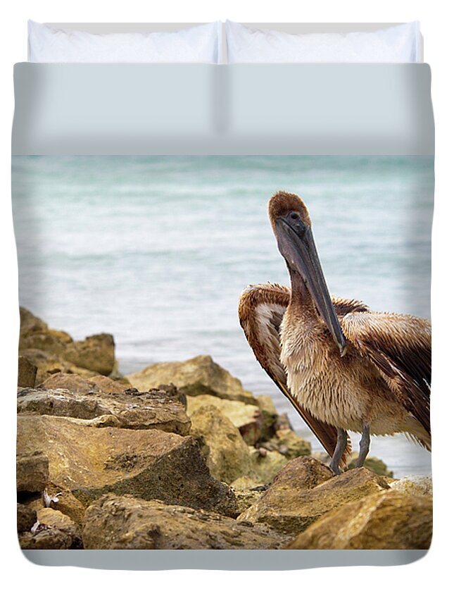 Pelican Duvet Cover featuring the photograph Brown Pelican by Sebastian Musial