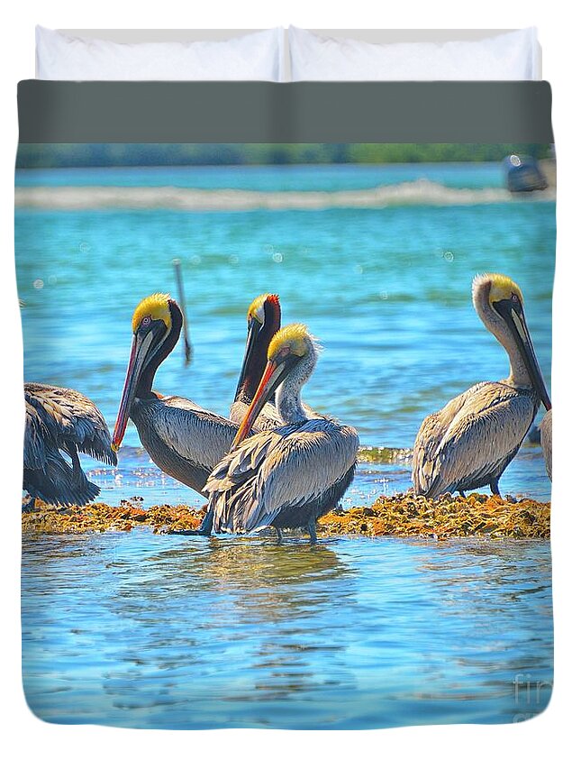 Englwood Florida Duvet Cover featuring the photograph Brunch by Alison Belsan Horton