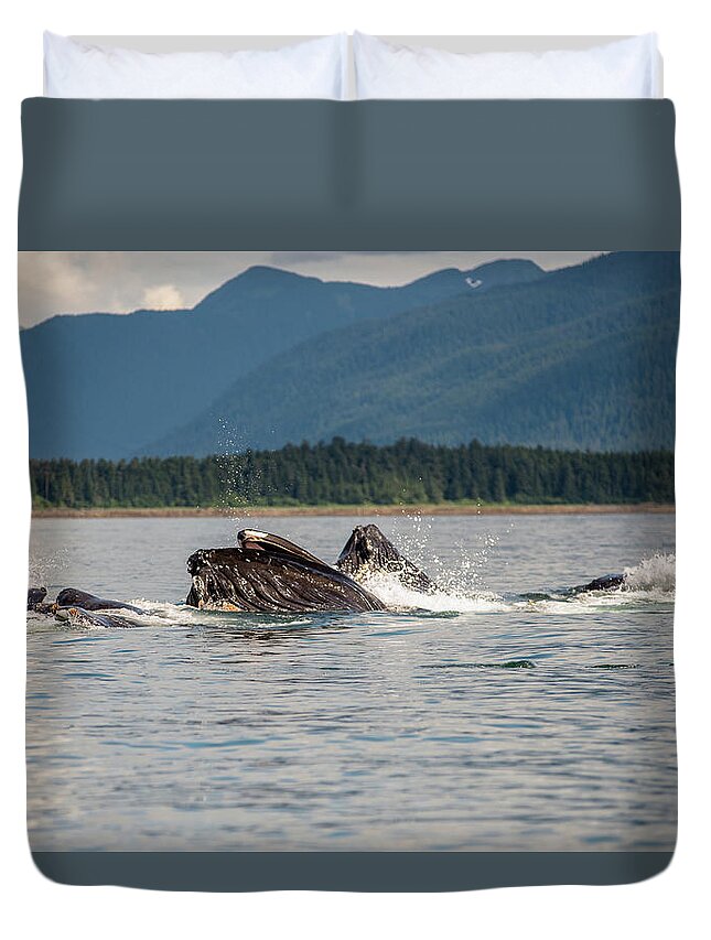 Alaska Duvet Cover featuring the photograph Bubble Feeders 2 by David Kirby