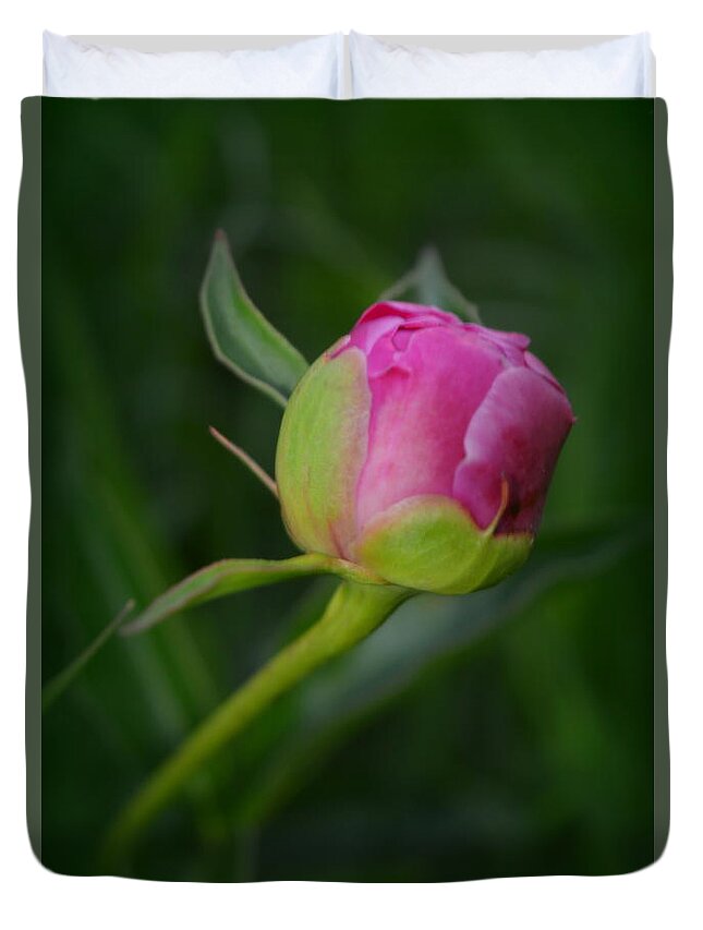  Duvet Cover featuring the photograph Budding Peony by Kimberly Woyak