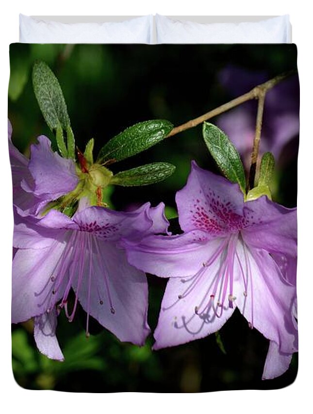 Azaleas Duvet Cover featuring the photograph Buds And Blooms by Angie Tirado