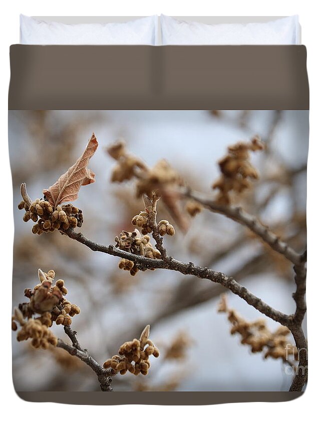 Gray Duvet Cover featuring the photograph Buds on Winter Branch in Brown and Gray by Carol Groenen