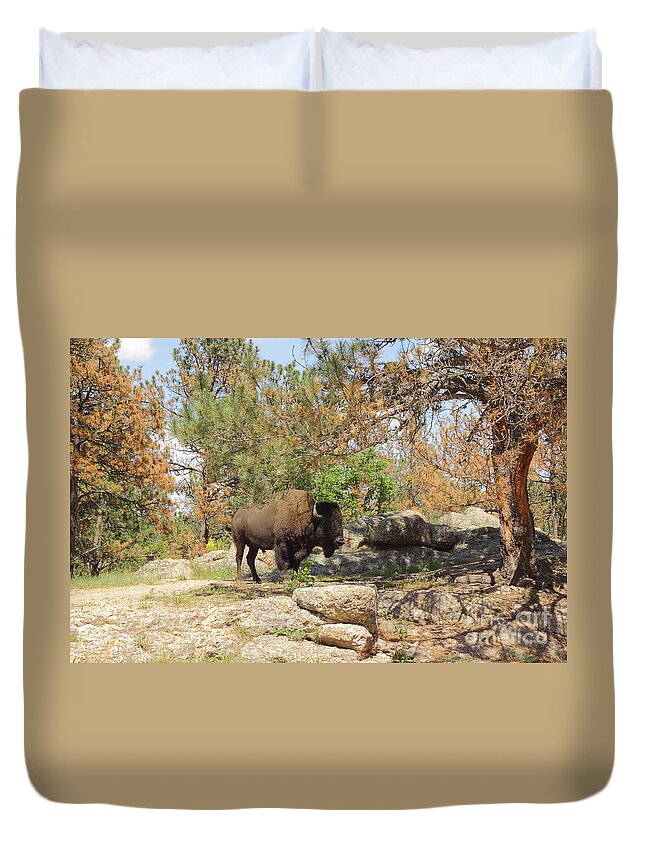 Animal Duvet Cover featuring the photograph Buffalo At Dying Pine by Robert Frederick