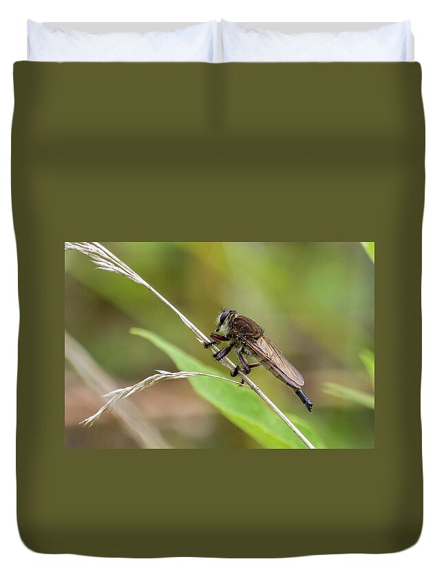Wildlife Duvet Cover featuring the photograph Bug On A Stem by John Benedict