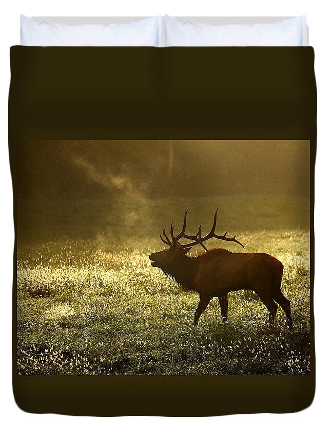 Bull Elk Duvet Cover featuring the photograph Bugling Elk in November Sunrise by Michael Dougherty