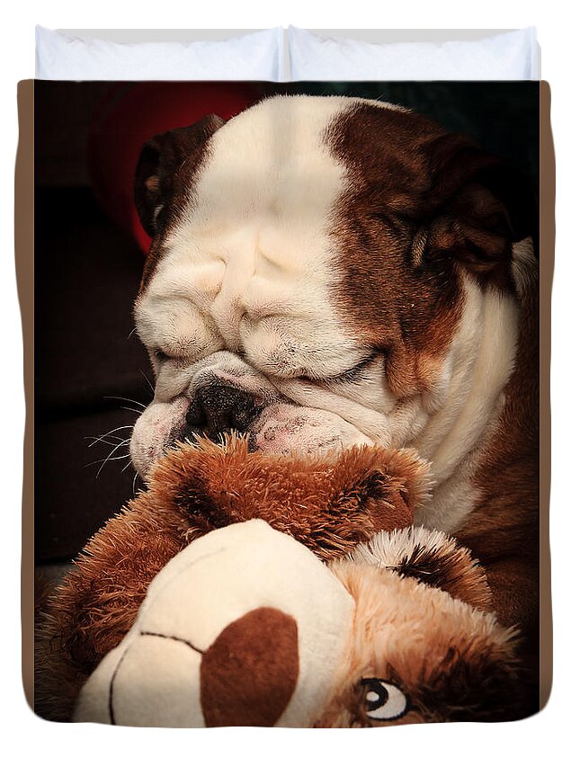 Animal Duvet Cover featuring the photograph Bull Dog vs. Stuffed Dog by Joni Eskridge