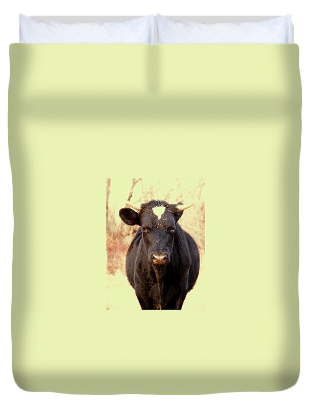 Animals Duvet Cover featuring the photograph Bull by Dorothy Lee