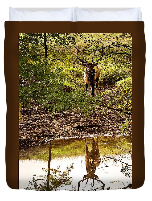 Bull Elk Duvet Cover featuring the photograph Bull Elk at Waterhole by Michael Dougherty