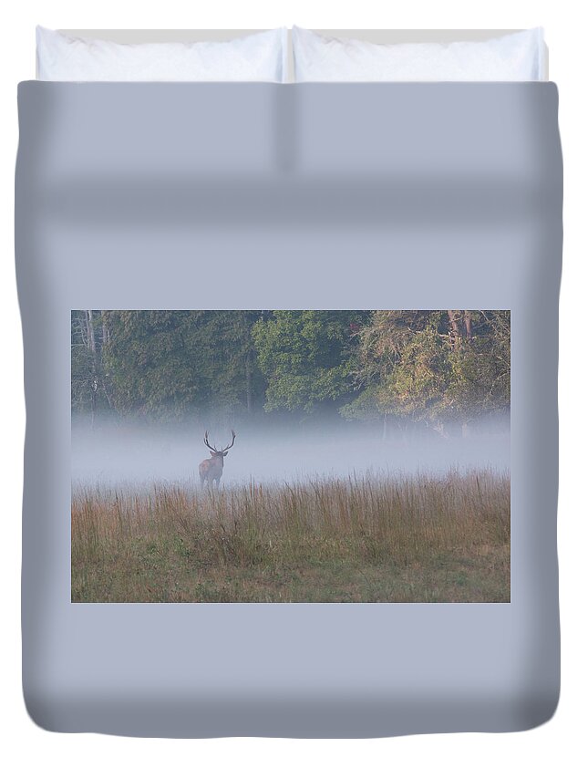 Elk Duvet Cover featuring the photograph Bull Elk Disappearing in Fog - September 30 2016 by D K Wall