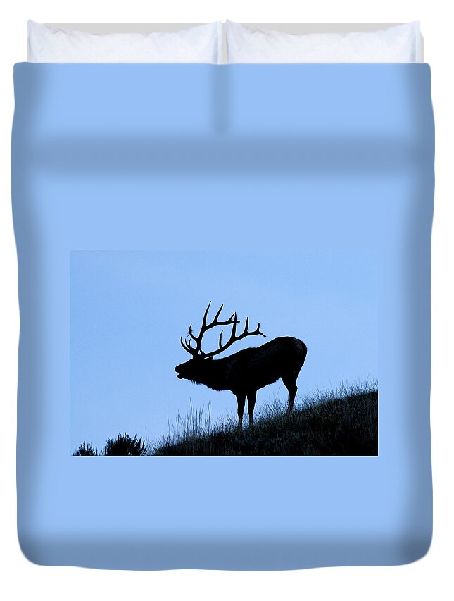 Yellowstone National Park Duvet Cover featuring the photograph Bull Elk Silhouette by Larry Ricker