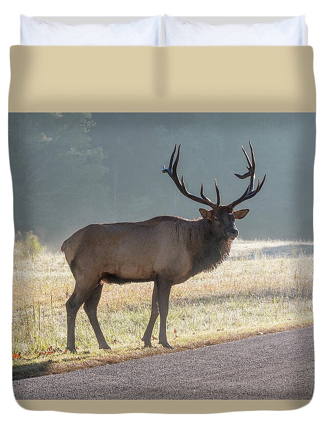 Bull Duvet Cover featuring the photograph Bull Elk Watching by D K Wall