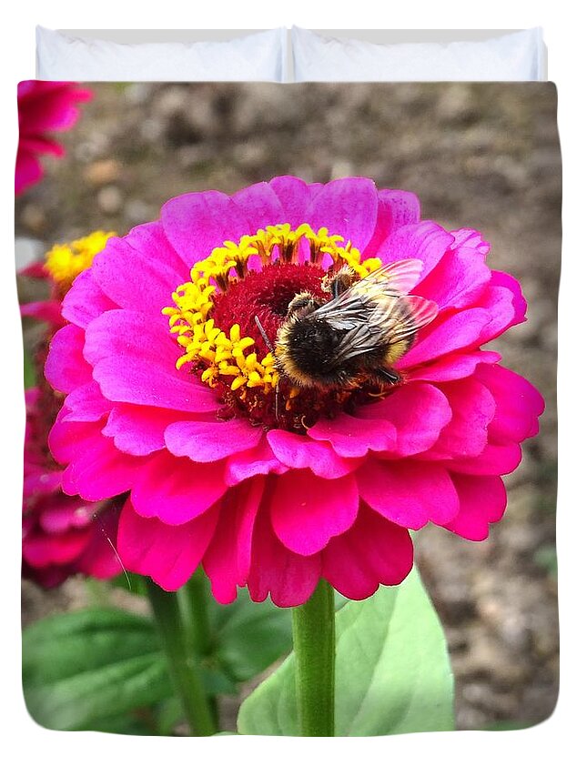 Bumble Bee Duvet Cover featuring the photograph Bumble Bee on Pink Flower by Karen Jane Jones