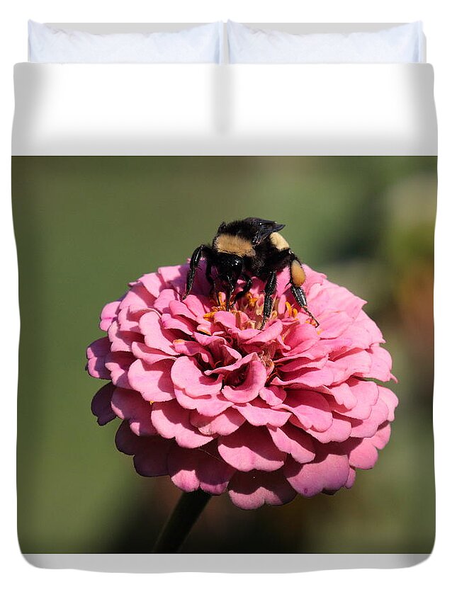 Bumble Bee Duvet Cover featuring the photograph Bumble Bee on Zinnia 2649 by John Moyer