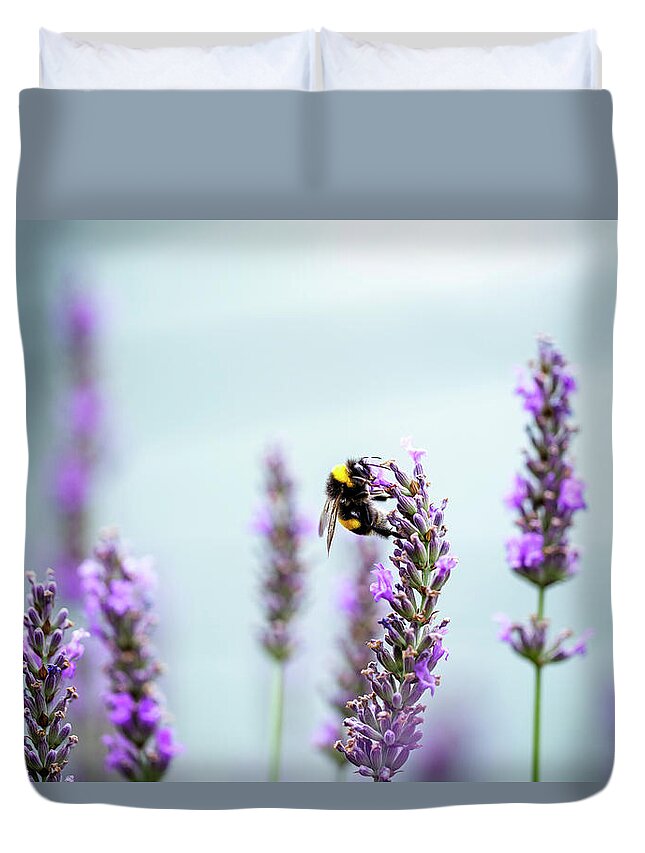 Designs Similar to Bumblebee and Lavender