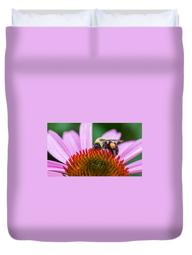 D Fa 50 2.8 Duvet Cover featuring the photograph Bumblebee on Coneflower by Lori Coleman