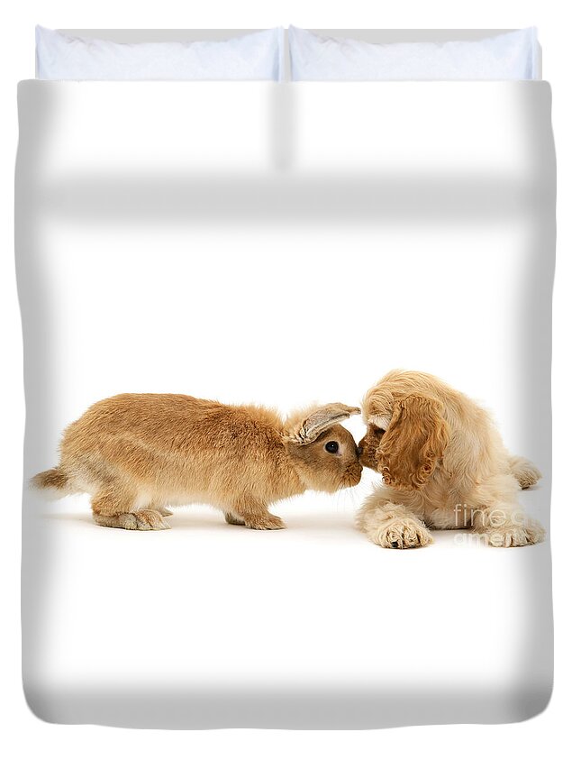 American Cocker Spaniel Duvet Cover featuring the photograph Bunny Nose Best by Warren Photographic