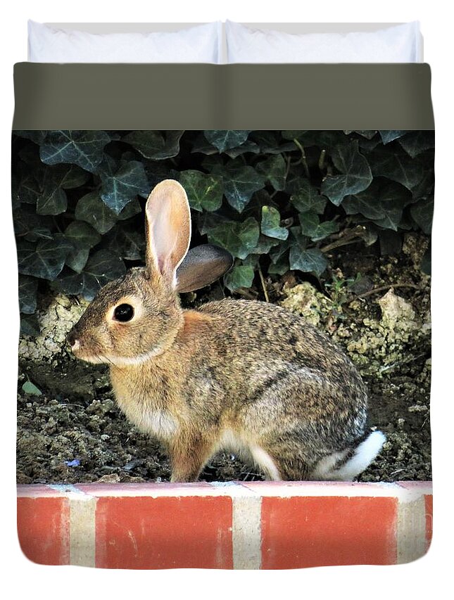 Bunny Duvet Cover featuring the photograph Bunny on My Wall by Laurie Morgan