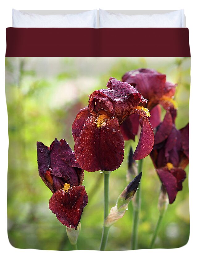 Iris Duvet Cover featuring the photograph Burgundy Bearded Irises in the Rain by Rona Black