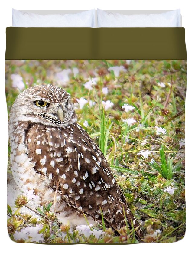Owl Duvet Cover featuring the photograph Burrowing Owl in Nature by Rosalie Scanlon