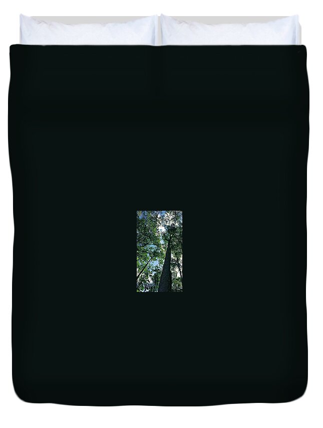 Landscape Duvet Cover featuring the photograph Bush Trees by Michael Blaine