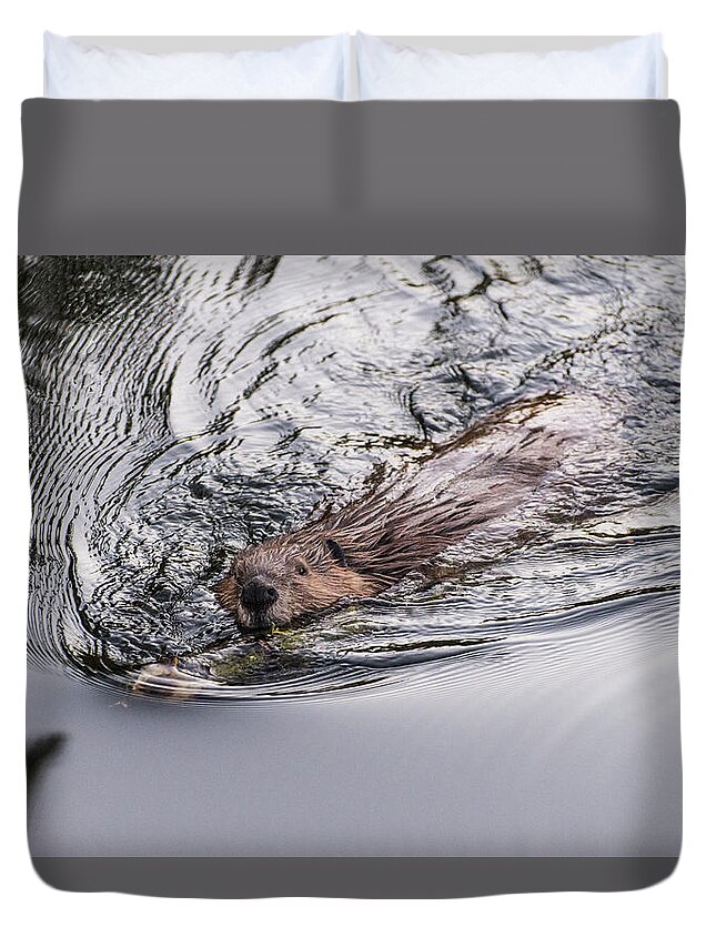 Beaver Duvet Cover featuring the photograph Busy by Alex Lapidus