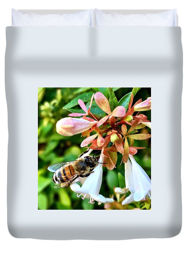 Bee Duvet Cover featuring the photograph Busy As a Bee by Brad Hodges