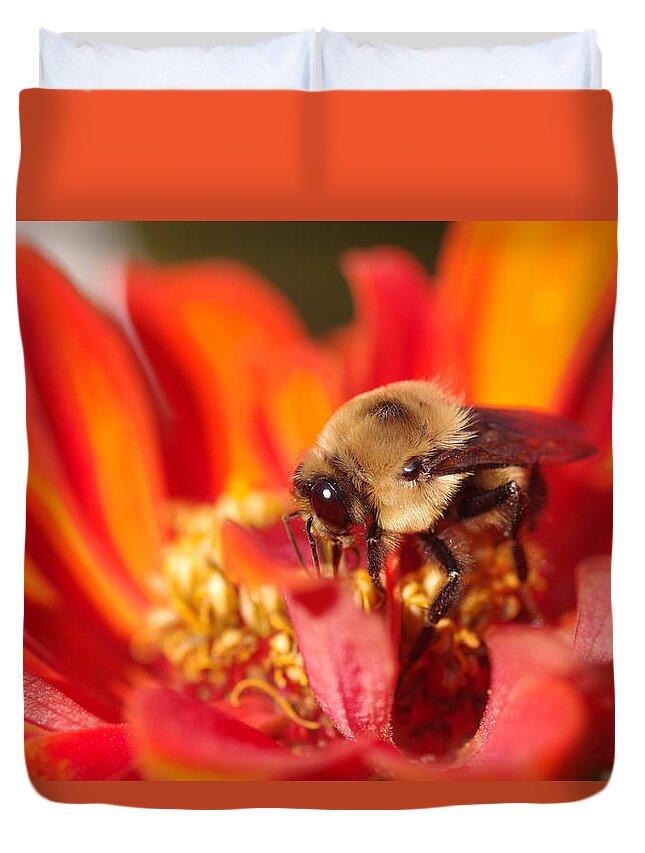 Bee Duvet Cover featuring the photograph Busy Bee II by Greg Graham