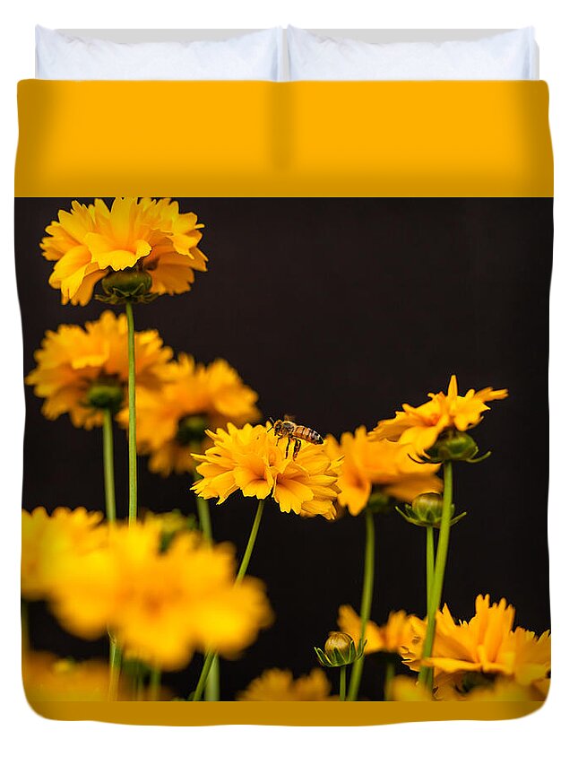 Bellingham Duvet Cover featuring the photograph Busy Bee on Coreopsis by Judy Wright Lott