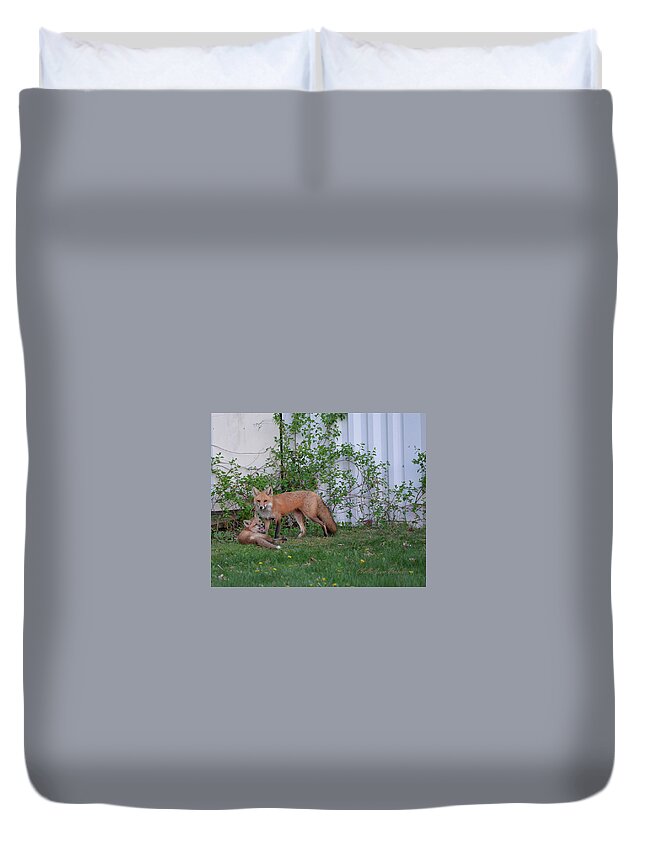 Foxes Duvet Cover featuring the photograph But Mom by ChelleAnne Paradis