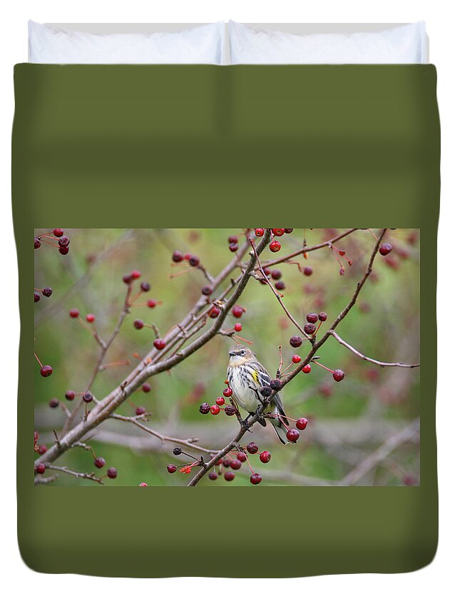 Warbler Duvet Cover featuring the photograph Butter Butt and Berries by Brook Burling
