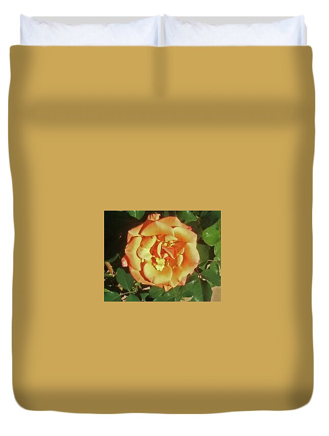 Flower Duvet Cover featuring the photograph Buttercream Rose For Your Valentine by Jay Milo
