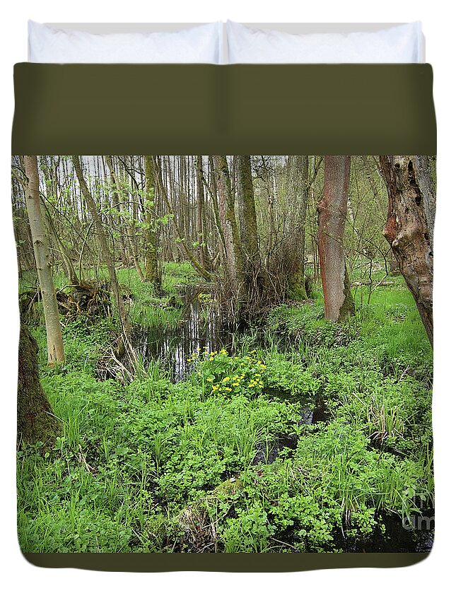 Wetland Duvet Cover featuring the photograph Buttercups in wetlands by Michal Boubin