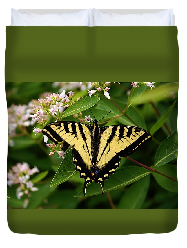 Butterfly Duvet Cover featuring the photograph Butterflies #1 by Ben Upham III
