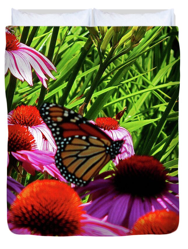 Butterfly Duvet Cover featuring the photograph Butterfly 1 by Ron Kandt