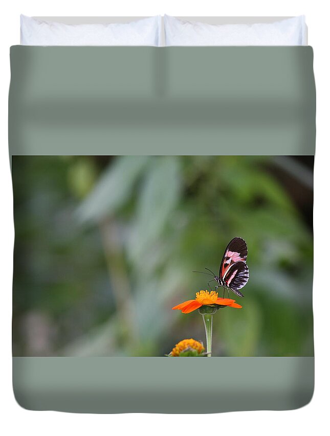 Butterfly Duvet Cover featuring the photograph Butterfly 16 by Michael Fryd