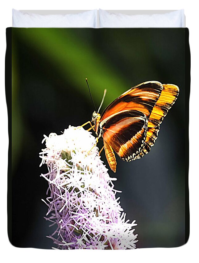  Duvet Cover featuring the photograph Butterfly 2 by Tom Prendergast