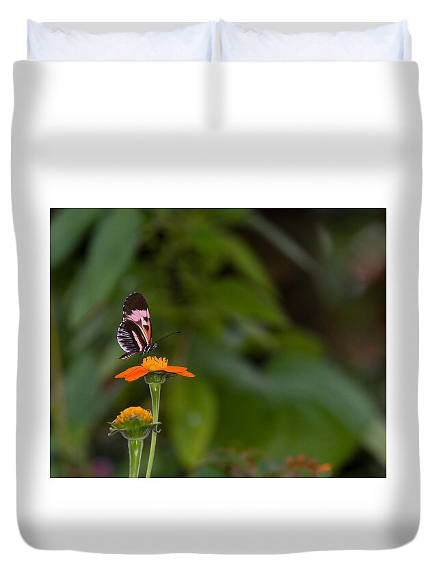 Butterfly Duvet Cover featuring the photograph Butterfly 26 by Michael Fryd