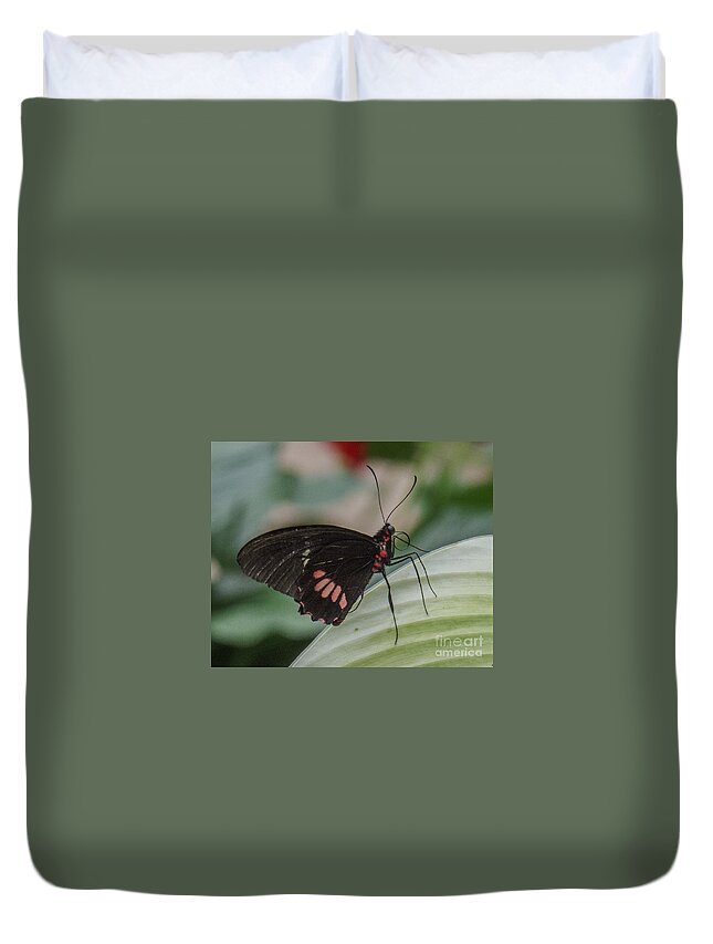 Butterfly Duvet Cover featuring the photograph Butterfly 7 by Christy Garavetto